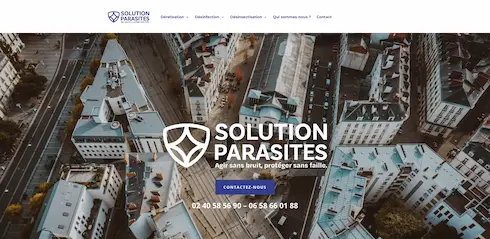 Site web de solutions parasites